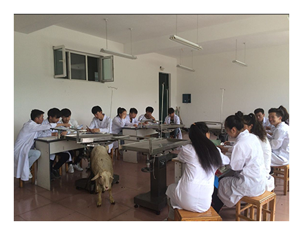 1530277104830047.png 图片29.png